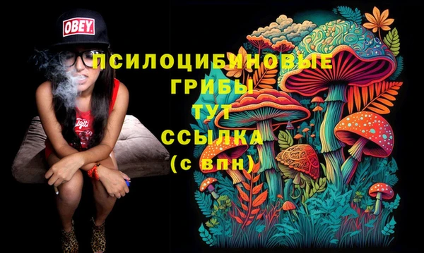 прущий лед Бронницы