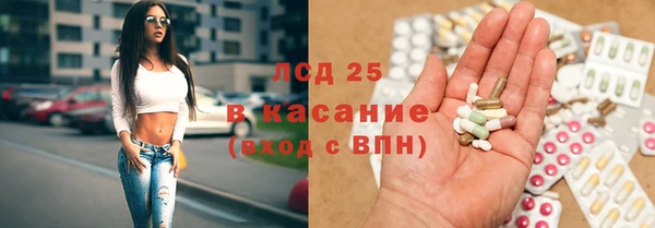 стафф Бородино