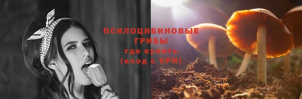 стафф Бородино