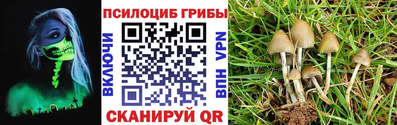 кракен зеркало  Дербент  Галлюциногенные грибы GOLDEN TEACHER 