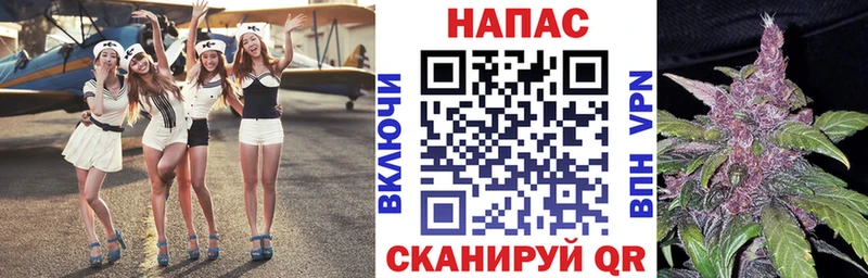наркотики Дербент Шишки марихуана марихуана